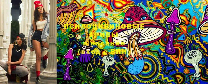 Галлюциногенные грибы MAGIC MUSHROOMS  Миллерово 